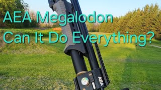 AEA Megalodon 50 Cal  SpeedShotgun and Long Range [upl. by Nnylekoorb968]