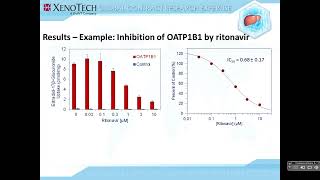 Drug Transporter Webinar Evaluation of Ketoconazole amp Alt Clinical CYP3A45 Inhibitors [upl. by Holcomb602]