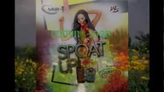 Caribbean Spice  Phoolon Ke Dere Hain  Zameer 1975 Remix [upl. by Ansley]