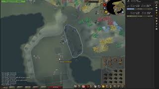 OSRS Drift Net Fishing Guide  110k Hunter 82k Fishing per hour  Example Time [upl. by Akihc]