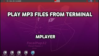 play mp3 files from puppy terminal mplayer setup [upl. by Omlesna280]