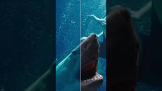 47 Meters Down Uncaged shark attack scene [upl. by Eidak794]