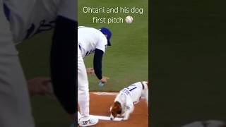 Shohei Ohtani and his dog throw out first pitch together live at the game [upl. by Schilit673]