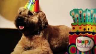 Josh Groban  Sweeney Birthday Video Extras [upl. by Moorish]