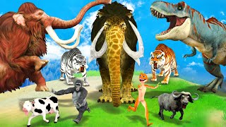 10 Mammoth Elephant Cow vs 10 Giant Lion Tiger vs Zombie Dinosaur Animal Fight Cow Cartoon Rescue [upl. by Gnilyarg142]