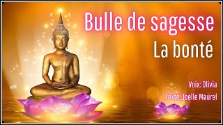 Méditation guidée  Bulle de sagesse  La bonté [upl. by Yra945]