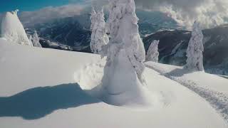 Freeride Zell am SeeKaprun [upl. by Enimajneb769]