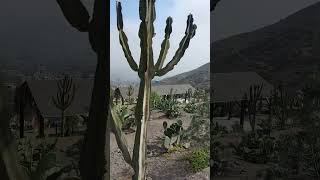 Parque Ecológico de La Molina  Lima  Perú [upl. by Nerek]