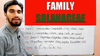 FAMILY SOLANACEAE  DESCRIPTION OF FLOWER Zeeraks Biology [upl. by Amikat]