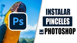 ✅🚀 Como INSTALAR PINCELES en photoshop 👀 [upl. by Alroy]