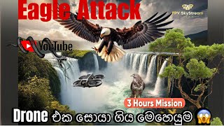 Drone එක සොයාගිය මෙහෙයුම after an Eagle Attack at Aberdeen Waterfall [upl. by Aldridge447]