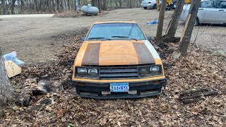 Scoring a 1980 Mustang Cobra FOR PARTS amp FINDING A COBRA JET TORINO [upl. by Aoket830]