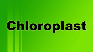 Chloroplast Definition and Function [upl. by Furr]