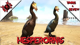 ARK HESPERORNIS TAMING amp REVIEW Patch 258 HOW TO TAME amp WHY YOU NEED THEM [upl. by Burget]