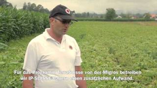 Migros Interview TerraSuisse Kartoffelanbau [upl. by Arehc]