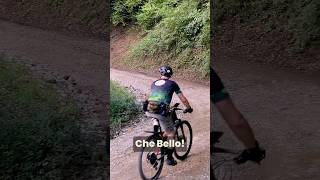 Stesso parere mtb gravel cicloturismo [upl. by Dlawso]