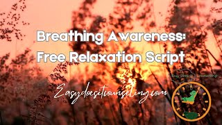 Guided Meditation Breathing Awareness [upl. by Fergus488]