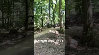 Canyon spectral 6 jump test mtbdirtjump cycling adrenaline mtbcycling cringe bicycle [upl. by Ramled]