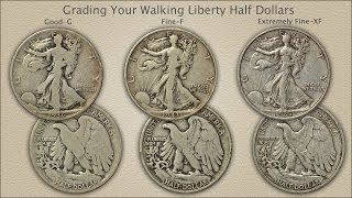 Grading Walking Liberty Half Dollars [upl. by Harret]