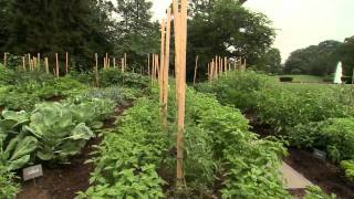 White House Garden  Interview with Michelle Obama [upl. by Pasquale519]