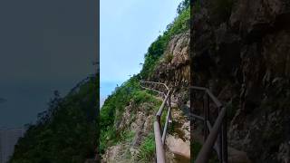 紫羅蘭山徑 Tsz Lo Lan Shan Path 「我在山上」Gary Hiking [upl. by Llib184]