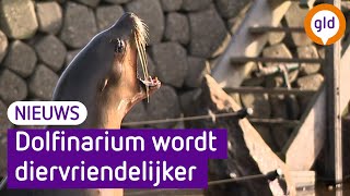 Dolfinarium wordt diervriendelijker walrussen tuimelaars en zeeleeuwen weg [upl. by Walker]