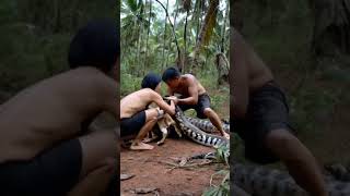 Rescue of a dog eaten by a python treanding [upl. by Boote666]