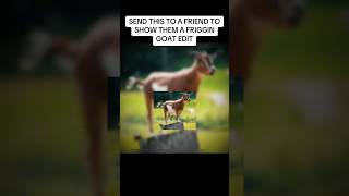 GOAT EDIT goat edit fyp 4k [upl. by Ahseinaj]