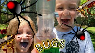 BUG HUNT for REAL Bugs BIG SPIDER June Bugs SLUGS Snails Nymph Moth EARWIG amp MORE for KIDS [upl. by Sophey]