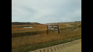 Des Lacs Wetland ND Ecology Water Quality  pH TDS Ca2 K Na NITRATE LaquaTwinn ISEs Part 2 [upl. by Cade748]