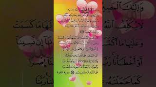 SURAH baqrah last 2 ayat tilawat islamicnature islamicprayer quranicvoice beautiful [upl. by Hachmin714]