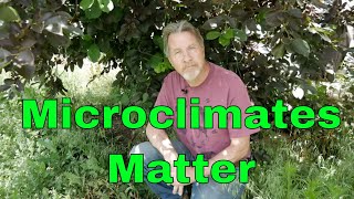 Understanding Microclimates  Change Climates in Your Garden [upl. by Jakoba]