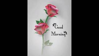 good morning  greetings  blessing  pictures  wishes  messages  happy morning  image  quotes [upl. by Eyar]