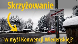 Drogi wewnętrzne i strefy ruchu to istny chaos Co na to Konwencja Wiedeńska [upl. by Arehsat]