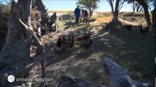 A Good Egg extra footage The Free Range Cook series one [upl. by Nob]