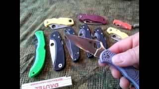 Spyderco Delica Super Blue  FRN Talk [upl. by Nuncia993]