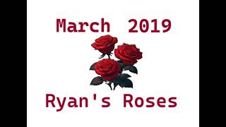 Ryans Roses Nick March 4 2019 [upl. by Denie557]