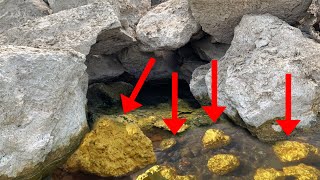 Awesome Diver Finds Finding Gold Treasure worth Million  from Gold Nuggets [upl. by Navar940]