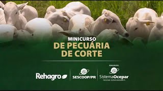 SescoopPR e Rehagro treinamento de excelência [upl. by Hakvir358]