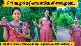 മീൻ അച്ചാർ ഇട്ട് പഞ്ചാബിലേക്ക് അയച്ചാലോ Saranyas beauty vlogs [upl. by Ynneb]