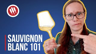 Sauvignon Blanc Everything you need to know  Grapes 101 [upl. by Hagan]