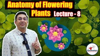 Anatomy of Flowering Plants l Lecture 8 l Biology l NEET [upl. by Bensky925]