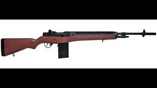 Review Winchester M14 Co2 Powered BBPellet Rifle By Daisy [upl. by Eda]