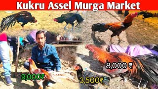 Kukru Assel Murga Market  Famous Murga Market pawanmahtovlog dailyvlog [upl. by Kurtzman]