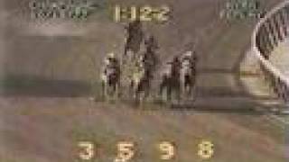 Alydar vs Affirmed  1977 Champagne Stakes 5th Meeting [upl. by Bille]