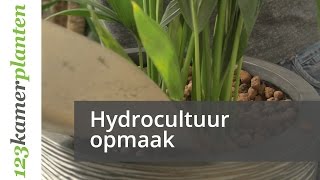 Hydrocultuurplanten opmaken  123kamerplanten [upl. by Debo936]