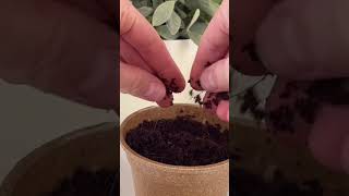 Unboxing A Grow Kit [upl. by Bartholomeus]