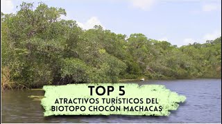 Top 5 Atractivo turistico del Biotopo Chacón Machacas [upl. by Burkley]