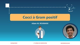 Cocci à Gram positif  Streptocoques I [upl. by Dloraj]