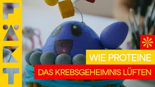 Wie Proteine das Krebsgeheimnis lüften Ein exklusiver Blick ins Labor mit Miso [upl. by Josie879]